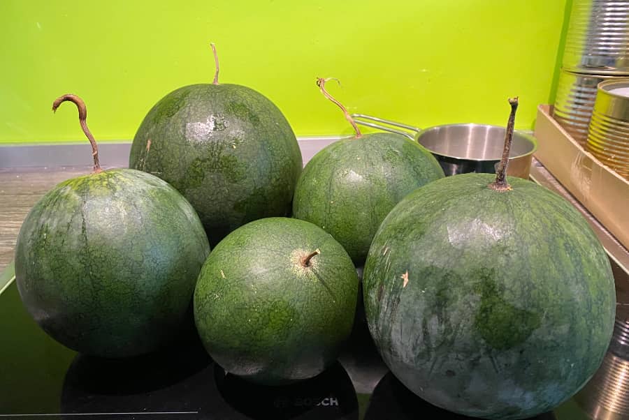 Fünf reife Wassermelonen